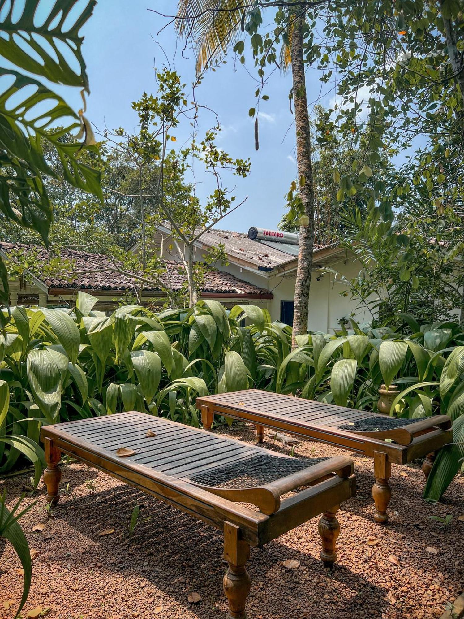 Medusa Bungalow - Galle Eksteriør billede
